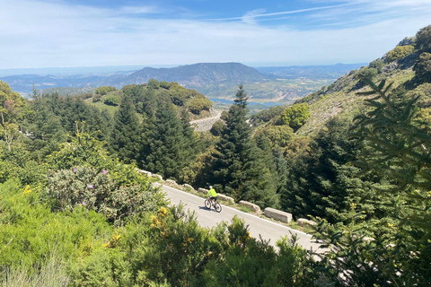 Ronda: Passo di Las Palomas - Tour ciclistico assistito - Facile