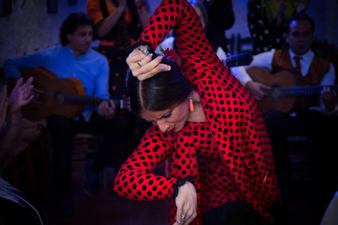 Spectacle de flamenco : Zambra à Cuevas del Sacromonte