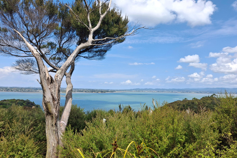 Auckland: Nature, Art, Seaside and Sugar Tour