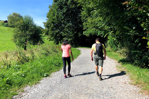 Lucerna: Visita a la granja y cata de quesos