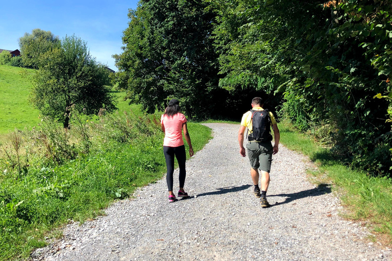 Lucerna: Visita a la granja y cata de quesos