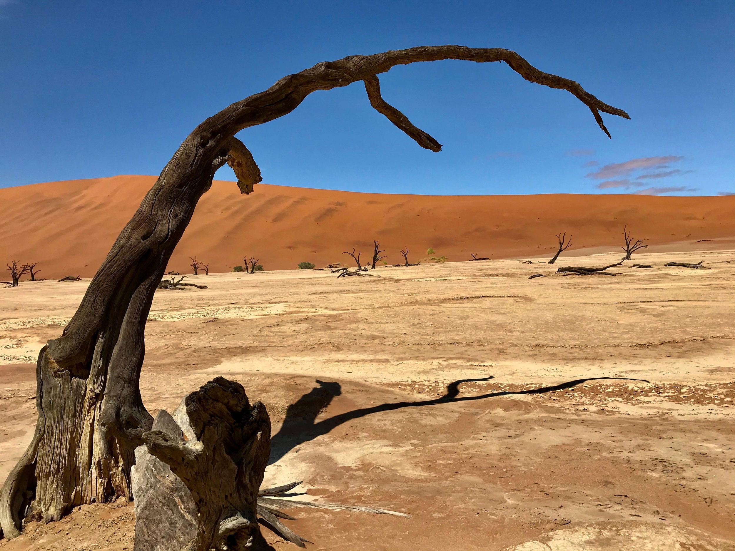 2-tägiges Dünen-Abenteuer: Sossusvlei und Sandwich Harbour