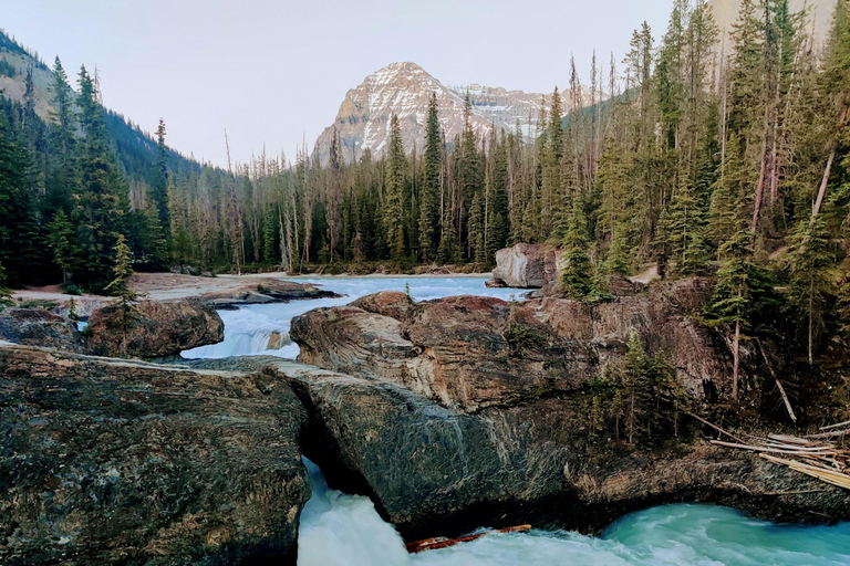Lake Louise,Moraine,Emerald Lake,Johnston Canyon &amp; BanffTourAvresa från Banff