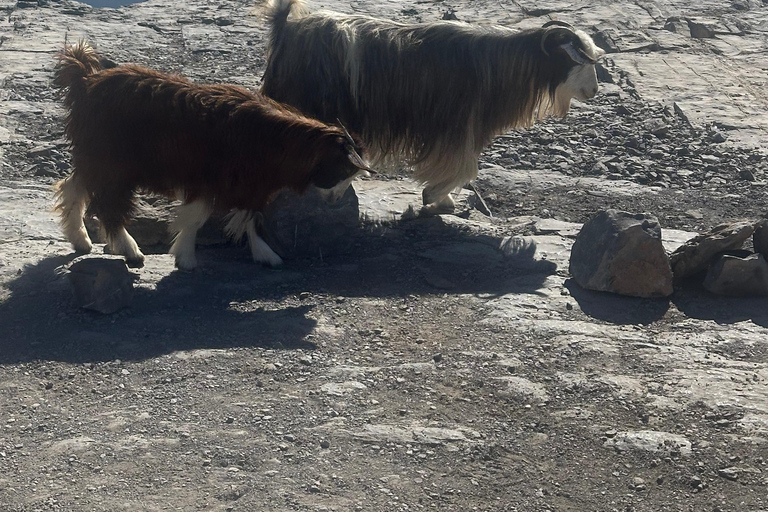 Mascate: Traslado en 4x4 a/desde Wahiba Sands, Jabal Shams o ...