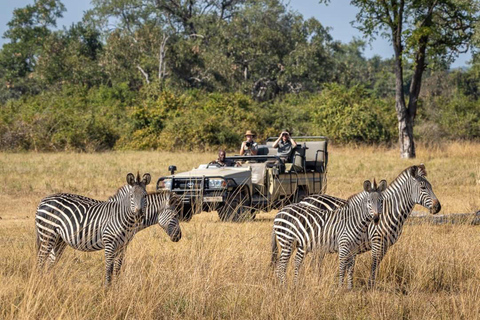 Rhino Game Drive