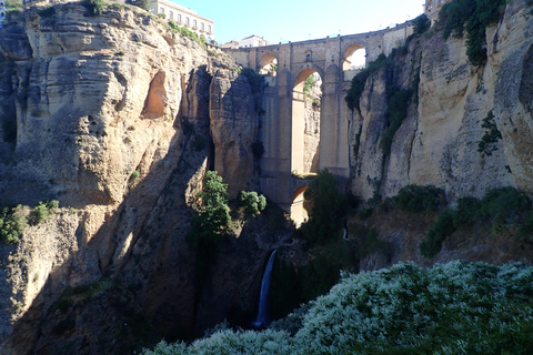 Ronda: Tajo de Ronda Canyoning Adventure With 35 m Rappel