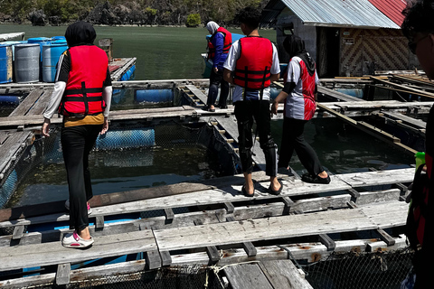 Langkawi: Sharing Mangrove Boat Tour 4 Hours