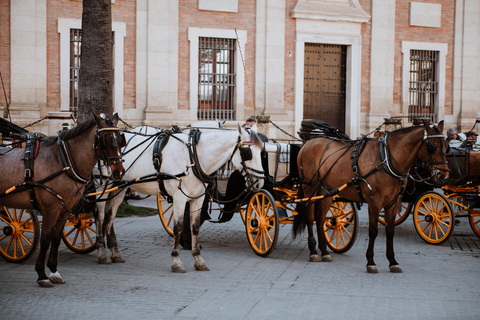 Private Horse-Drawn Carriage Ride in Seville