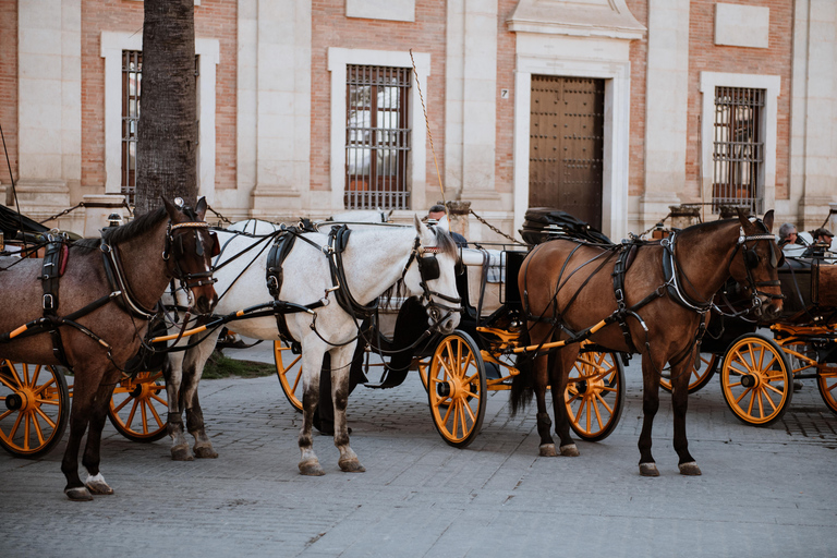 Private Horse-Drawn Carriage Ride in Seville