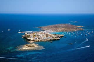 Valencia: Tagesausflug zur Insel Tabarca inklusive Boot