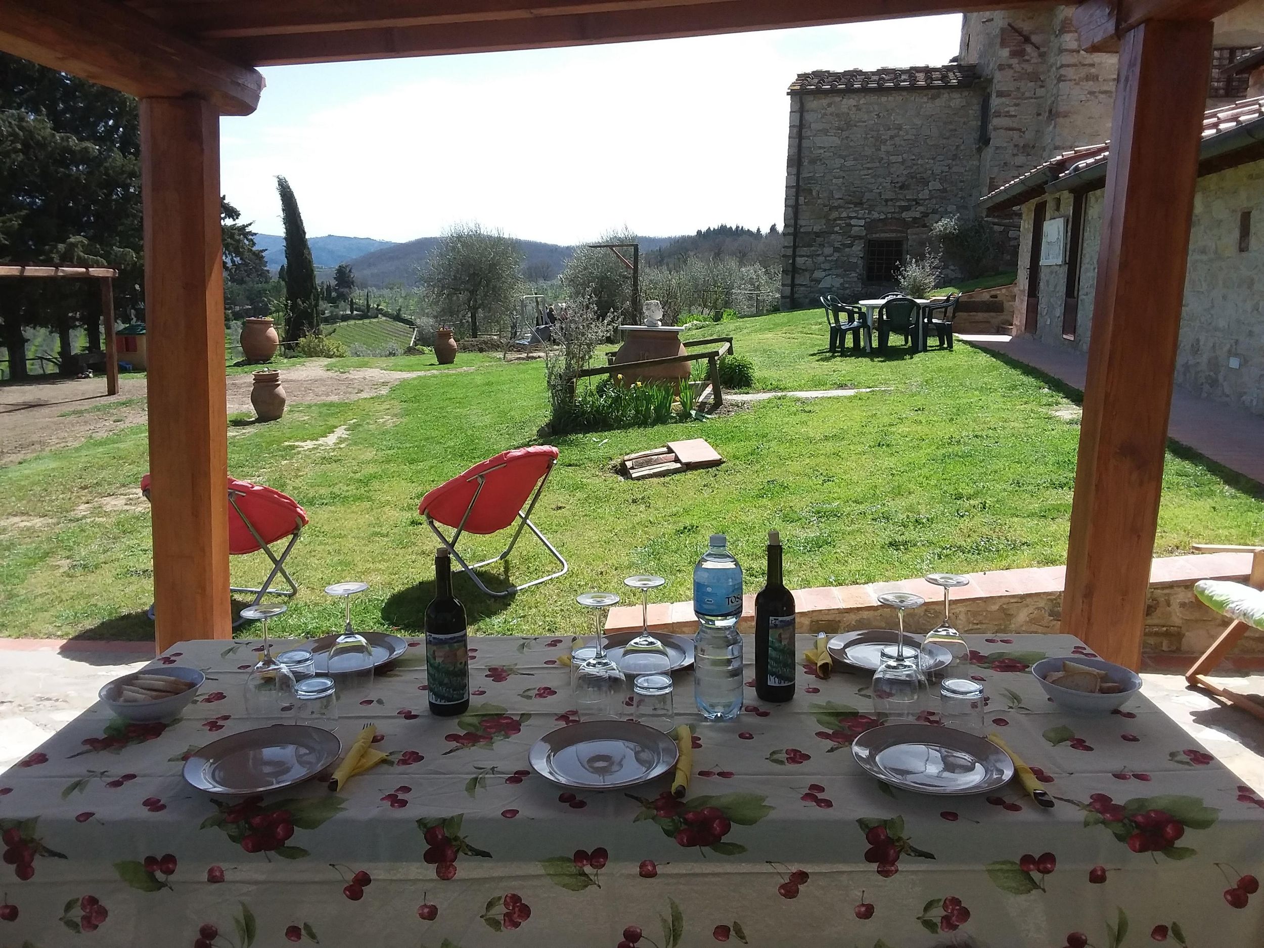 Greve in Chianti: Weinberg-Tour mit Weinprobe und Essen