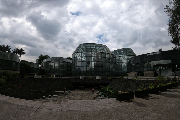 Bogotá: Botanical Garden Sightseeing Tour and Visit to the Paloquemao Market with Fruit Shared Sightseeing Tour + Tickets + Fruit