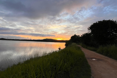 Habarana & Sigiriya: Night Safari to see nocturnal wildlife