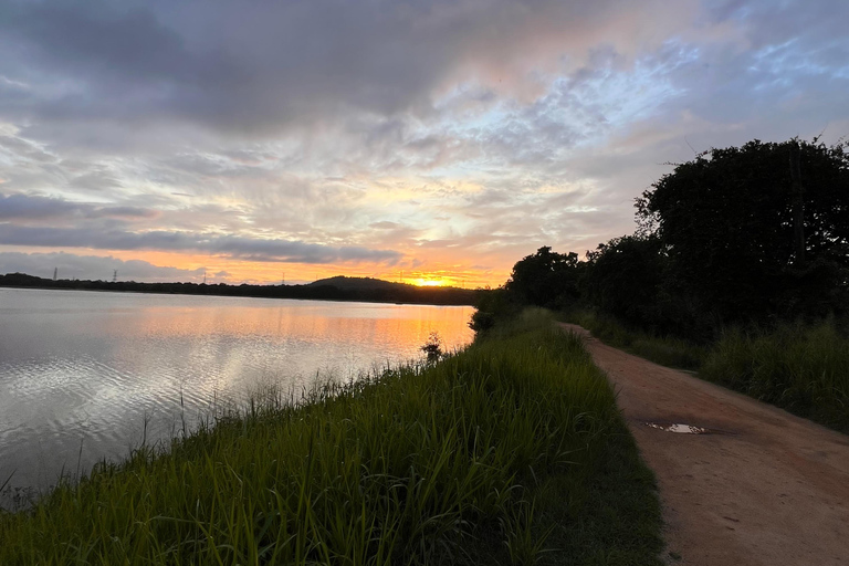 Habarana & Sigiriya: Night Safari to see nocturnal wildlife