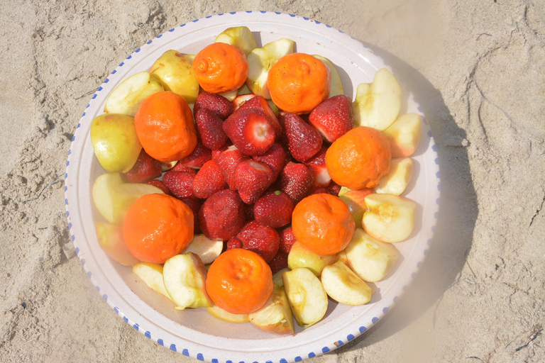 Djerba: Pirate Boat Trip with Dolphin and Flamingo Watching