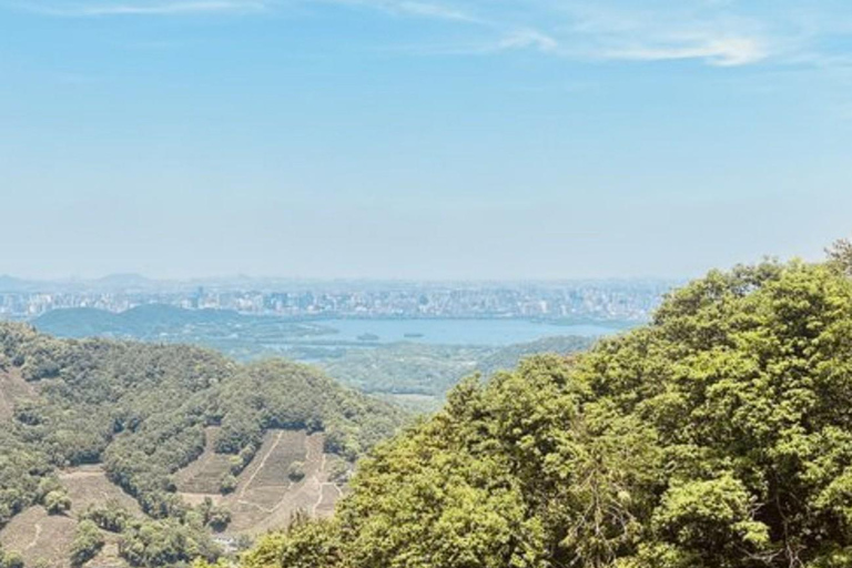 Suzhou: Hangzhou Nine Creeks & Longjing Tea Village Trip