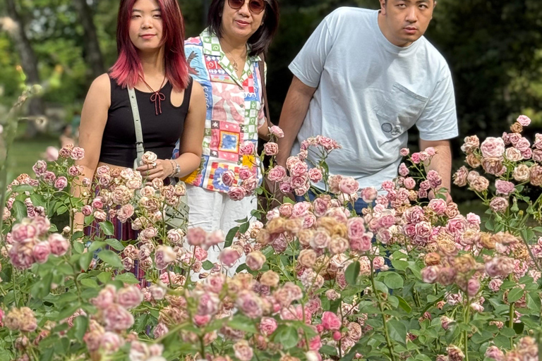 Bern Summer Walk: Medieval, Bear Park & Panoramic Picnic