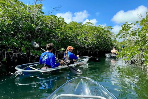 Key West Area: Guided Clear Kayak Eco-Tour