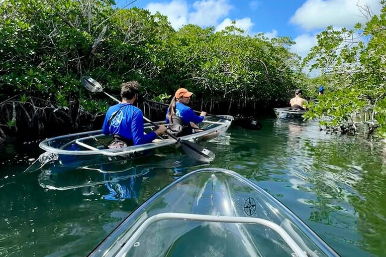 Key West Area: Guided Clear Kayak Eco-Tour