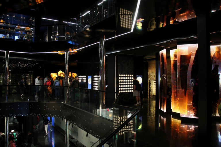 Exclusive Gdańsk: Museums, Skyline Toast & Michelin Dinner