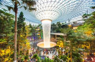 Singapur: Jewel Changi Airport Baumwipfel-Park Eintritt