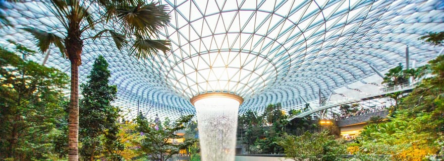 Aéroport Jewel Changi : Billets d'entrée au parc Canopy