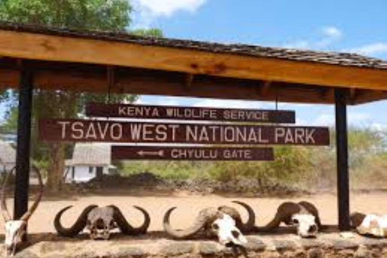Mombasa: 4-Day Tsavo East, West, & Taita Hills Safari