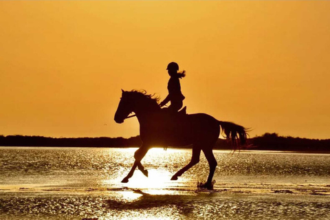 Manavgat/Side: Horse Riding on the Beach and in the Forest