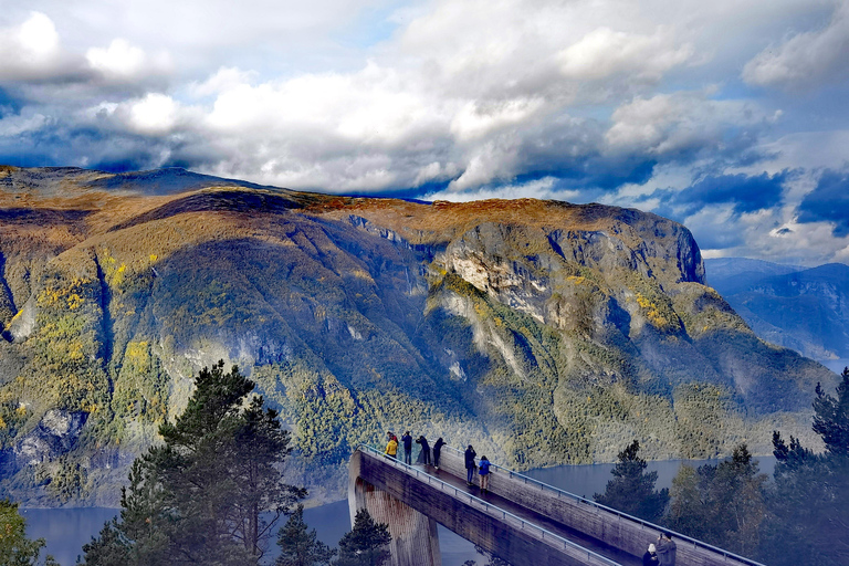 Flåm Flexible Tour with Stegastein, cruise and train include