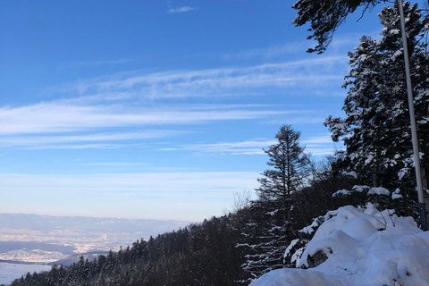 Swiss Highlights: Guided Zürich, Lucerne, Basel & Bern tour