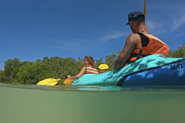 Holbox: Kayak Guiado por los Manglares de Holbox