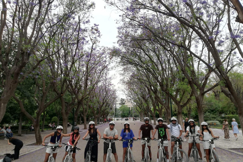 Atenas histórica: tour en bici eléctrica grupo reducidoTour en español, holandés, inglés, francés o italiano