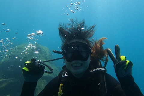 ¡Descubre el submarinismo en Tenerife! ¡La mejor experiencia!