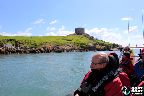 Dublín: tour en barco por la historia y la fauna con comentarios en directo