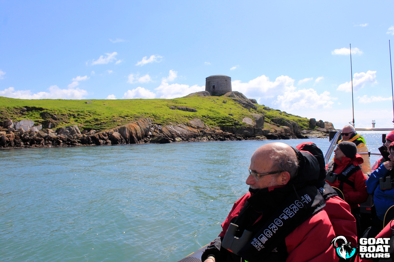 Dublín: tour en barco por la historia y la fauna con comentarios en directo