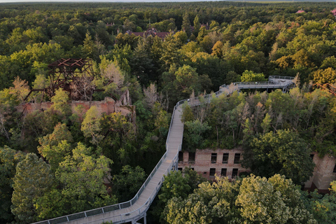 Baum&amp;Zeit Beelitz-Heilstätten: Tree Top Walk Ticket de entrada