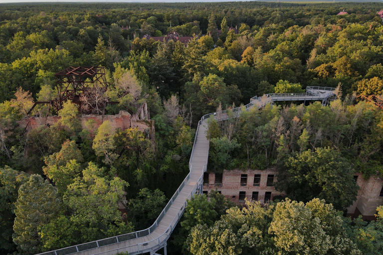 Baum&amp;Zeit Beelitz-Heilstätten: Tree Top Walk Ticket de entrada