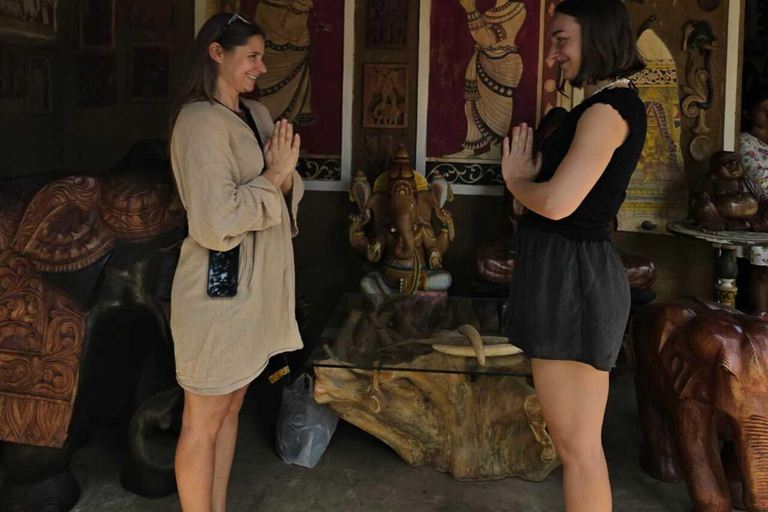 Kandy to Negombo/Airport Private Day Tour & Transfer Kandy to Airport or Negambo By Mini van