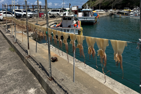 Chagwido Boat Fishing, Dolphin Watching with Local Lunch