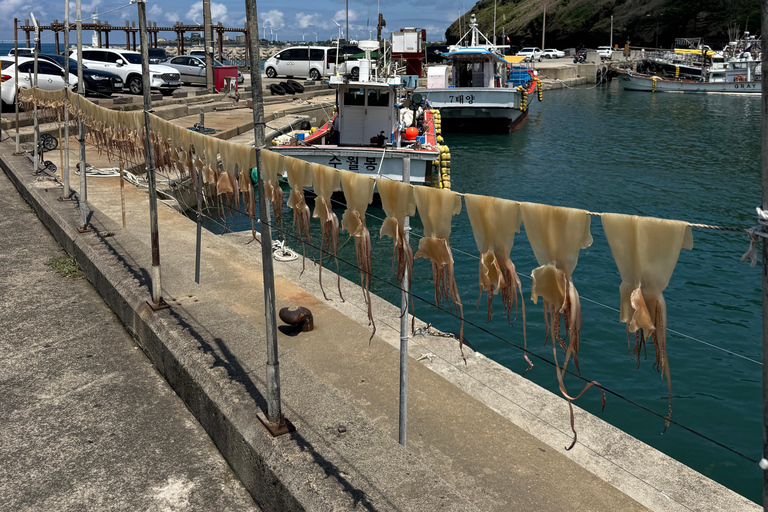 Chagwido Boat Fishing, Dolphin Watching with Local Lunch