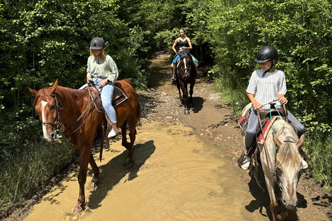 Kraków: Zakopane Horse ride & Thermal Baths Day Trip
