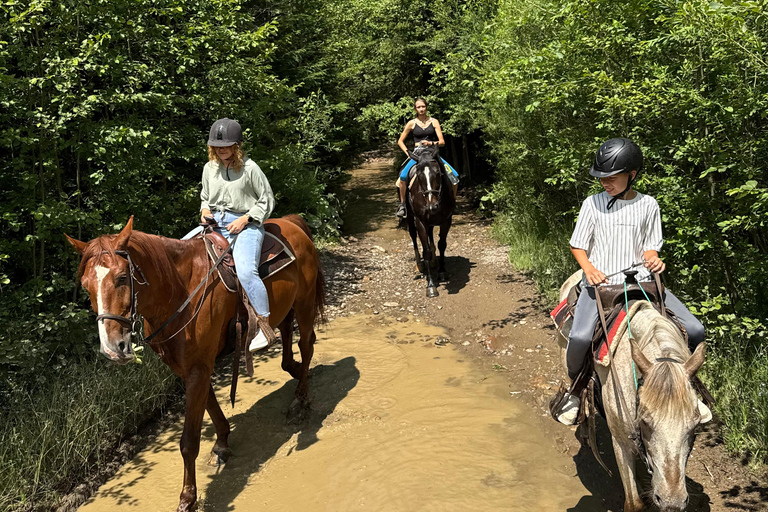 Kraków: Zakopane Horse ride & Thermal Baths Day Trip