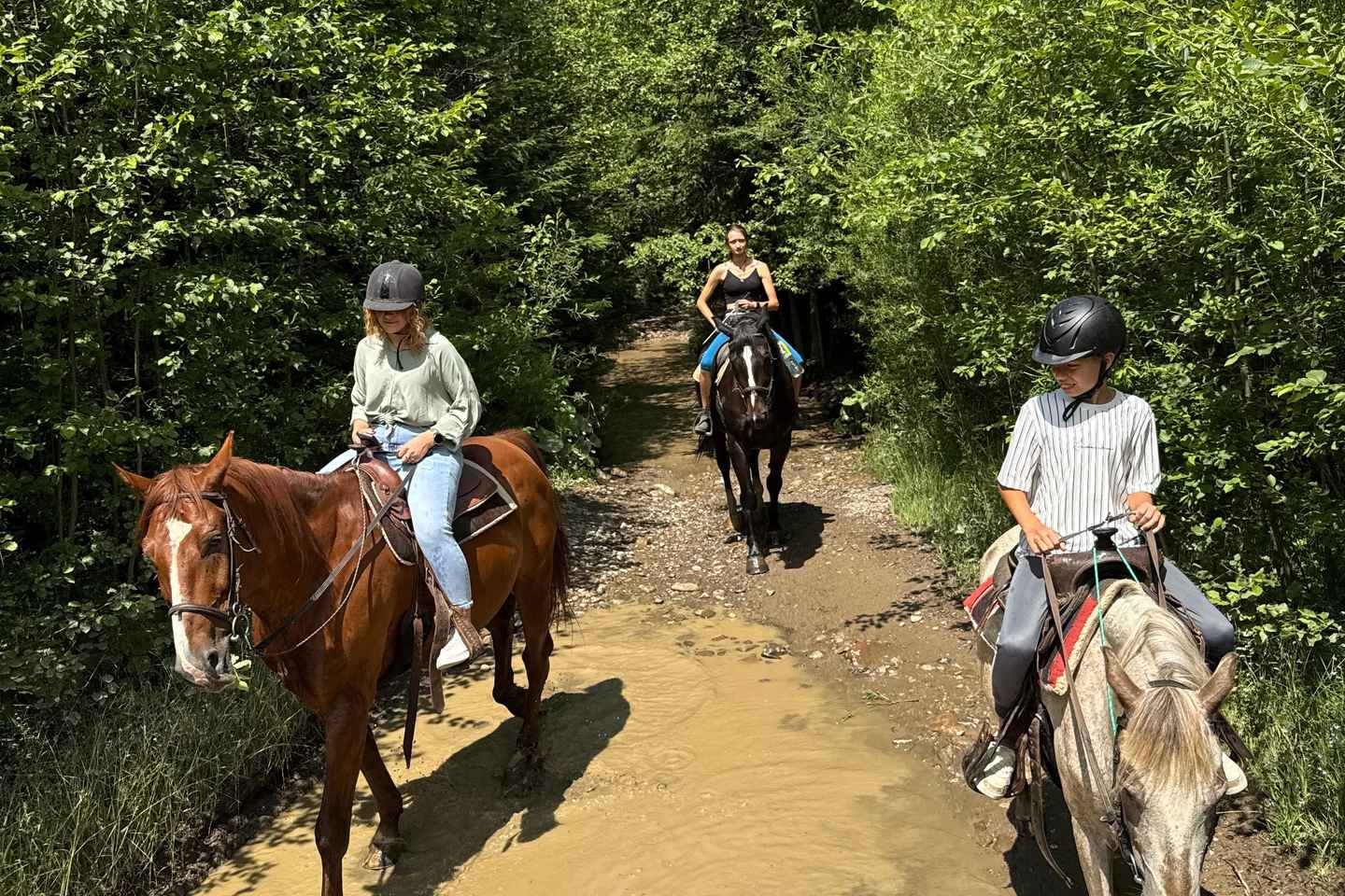 Kraków: Zakopane Horse ride & Thermal Baths Day Trip