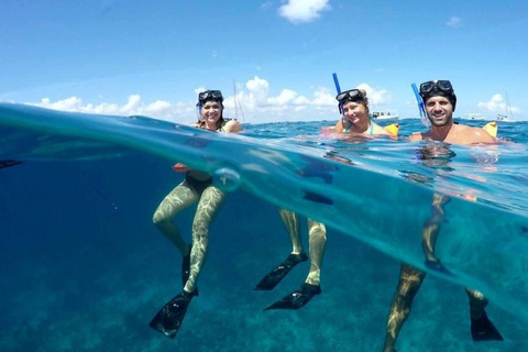 Cancun: Snorkeling Tour z odbiorem z hotelu