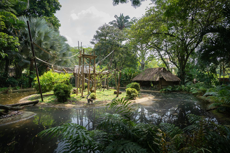Bogotá to Cali: Private Luxury Journey through the Andes and Coffee