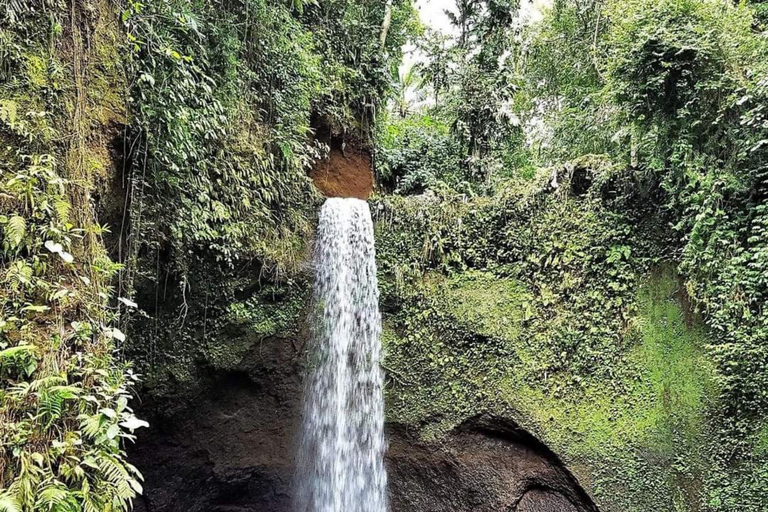 Bali : Best of 3 Ubud Hidden Waterfall Option All inclusive selected