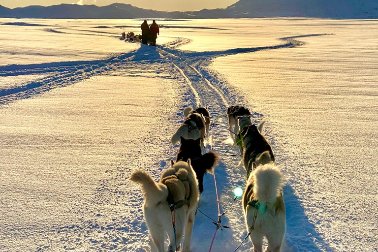Island-Husky-Tour – Fahrt- und Kuschel-ErlebnisIsland: Husky-Schlittenfahrt und Kuschelerlebnis