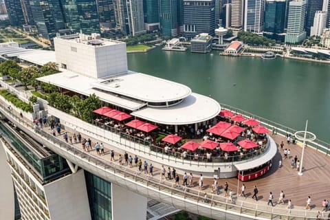 Marina Bay Sands SkyPark: Rooftop Architecture & Secret‑Spot - Image 2