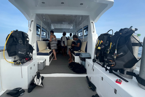 Komodo dagtrip met privé speedboot