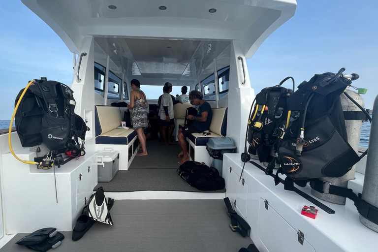 Komodo dagtrip met privé speedboot